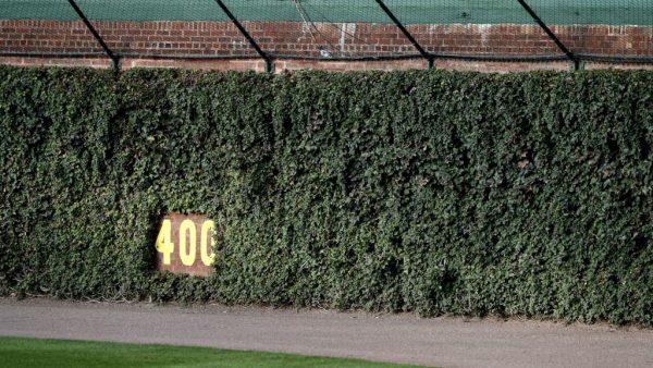 bill-veeck-wrigley-field-ivy
