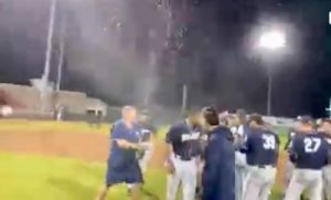 Read more about the article Charleston RiverDogs Champagne Showers Night