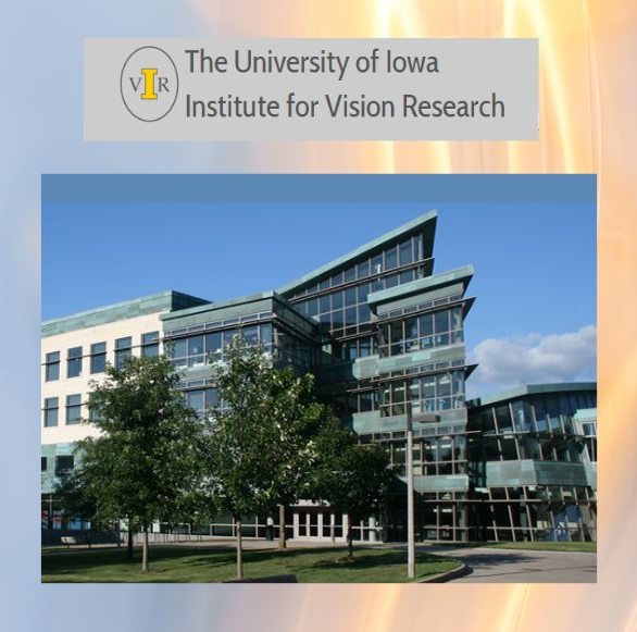 university-of-iowa-vision-research